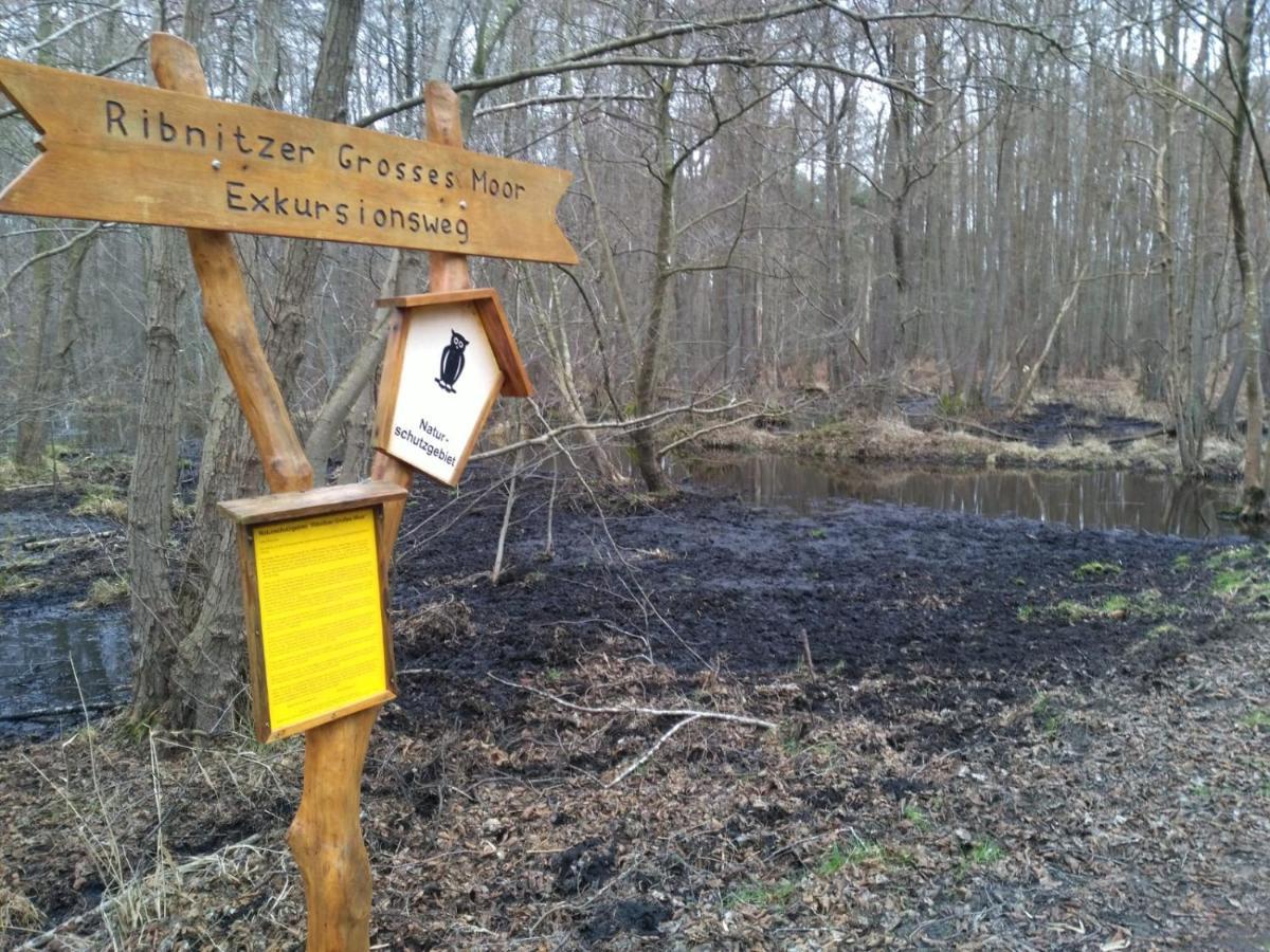 Appartamento Moorhexe 2 Gelbensande Esterno foto
